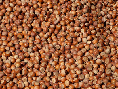 Nocciole Piemonte IGP della Cascina Cà Granda